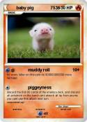 baby pig 7536