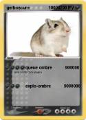 gerboscure