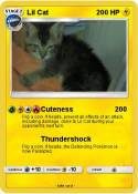 Lil Cat