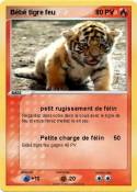 Bébé tigre