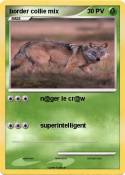 border collie