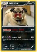 BITE DOG