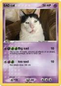 SAD cat