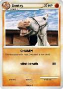 Donkey