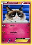 Grumpy cat