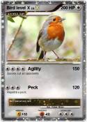 Bird level X