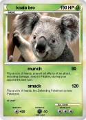 koala bro