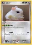 Cute bunny