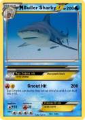 Buller Sharky