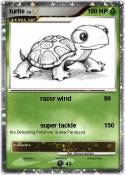 turtle