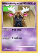 bullmastiff