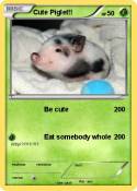 Cute Piglet!!