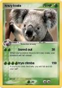 krazy koala