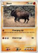 Bison