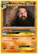 Rebeus Hagrid