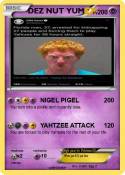 DEZ NUT YUM