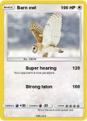 Barn owl