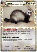 Hurón