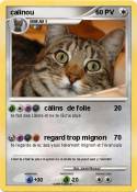 calinou