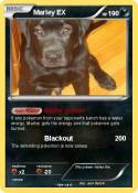 Marley EX