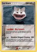 Cat Shark