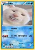 lgma