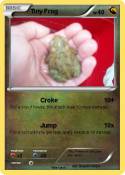 Tiny Frog