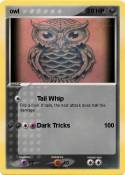 owl