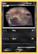 Tyler