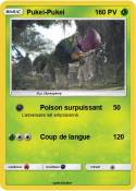 Pukei-Pukei