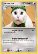 chat zarbi