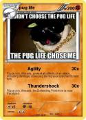 pug life