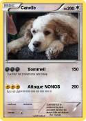 Canelle