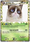 grumpy cat