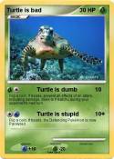 Turtle is bad