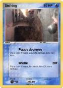 Sad dog
