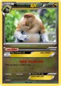 monkey