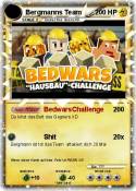 Bergmanns Team