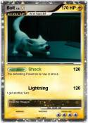 Bolt