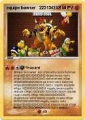 equipe bowser