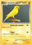 Canario