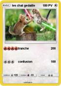 les chat gedail