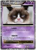 Grumpy Cat