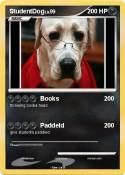 StudentDog