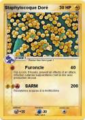 Staphylocoque
