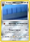 Trumps Wall