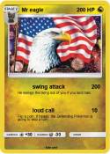 Mr eagle