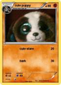 cute puppy