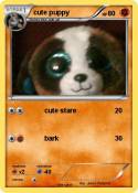 cute puppy