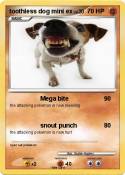 toothless dog
